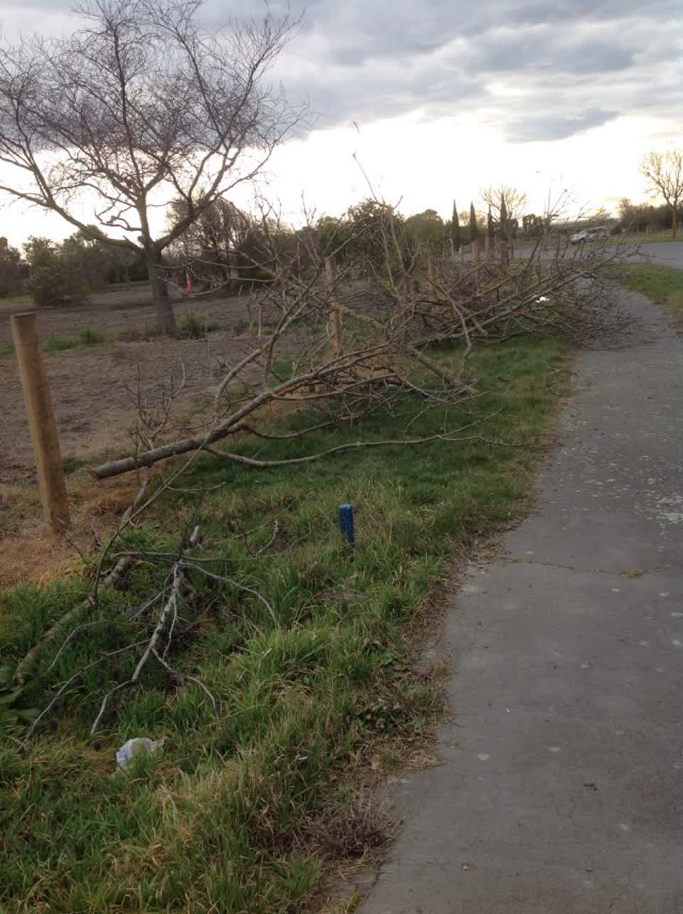 The photograph attached to this rubbish/recycling report