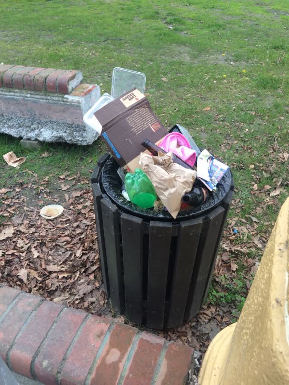 The photograph attached to this rubbish/recycling report