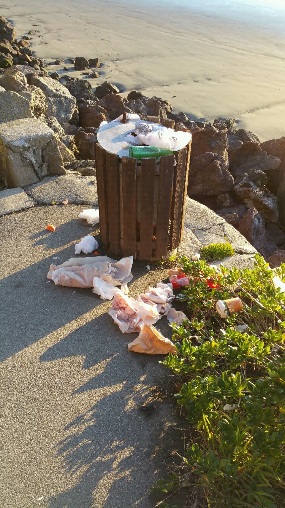 The photograph attached to this rubbish/recycling report