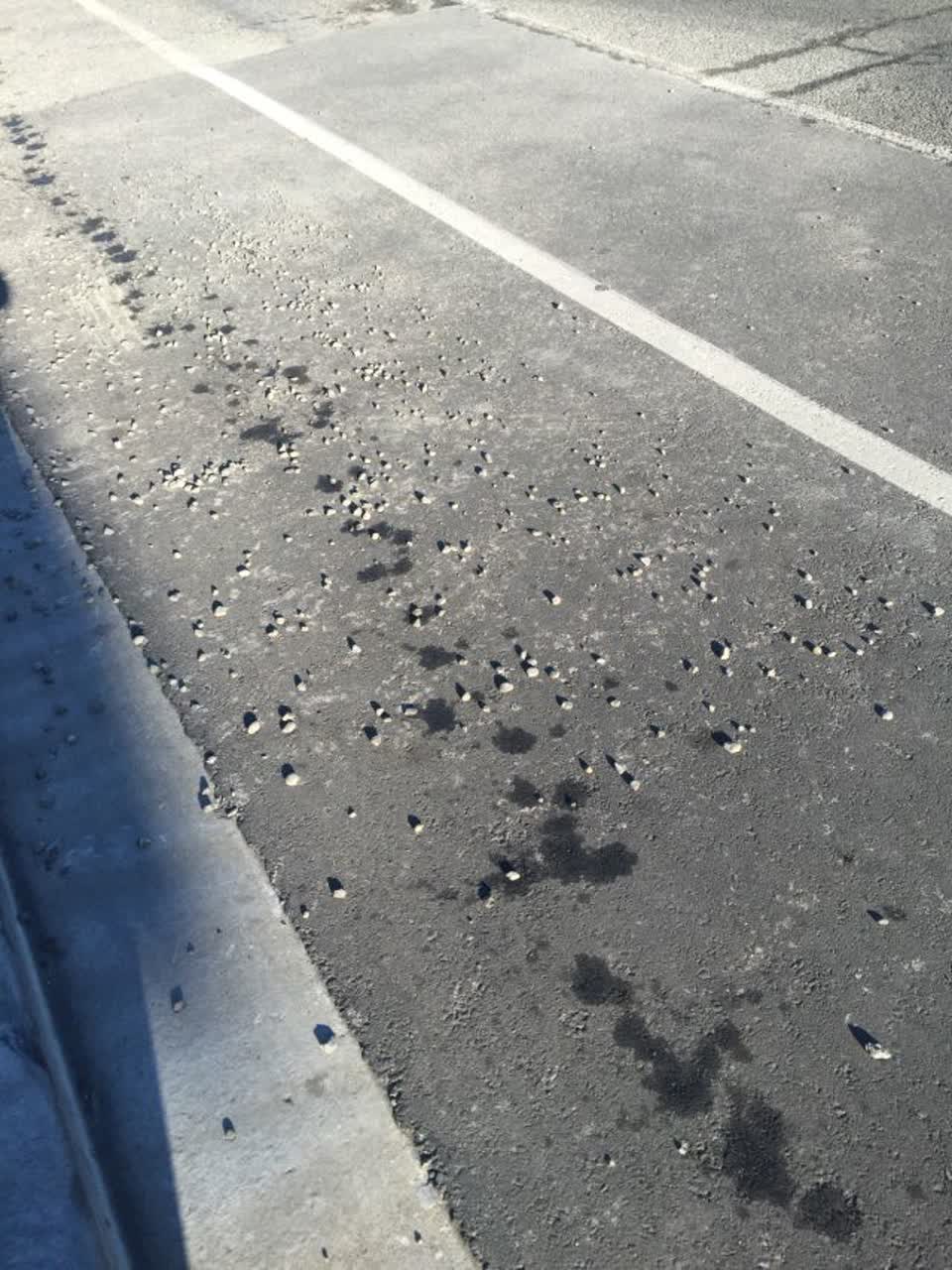 The photograph attached to this roading/streets report