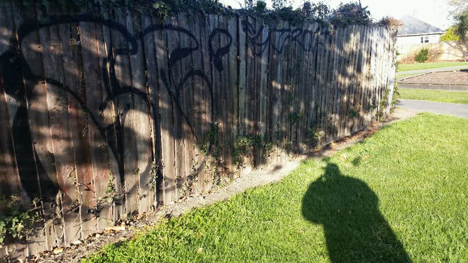 The photograph attached to this graffiti report
