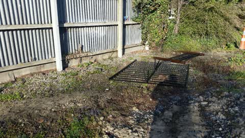 Rubbish/Recycling, a report photo