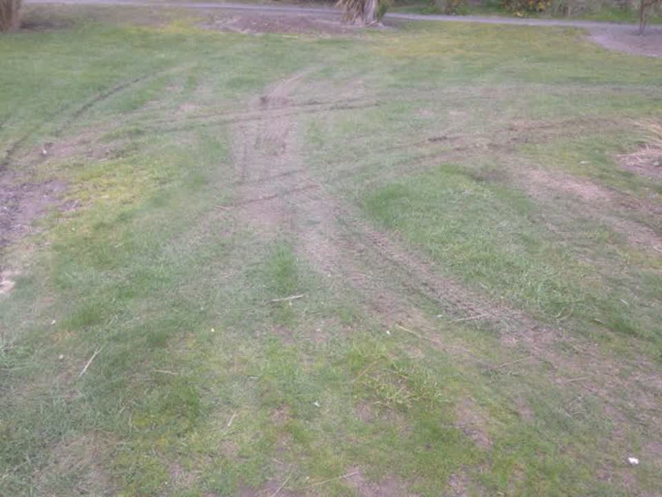 The photograph attached to this parks report
