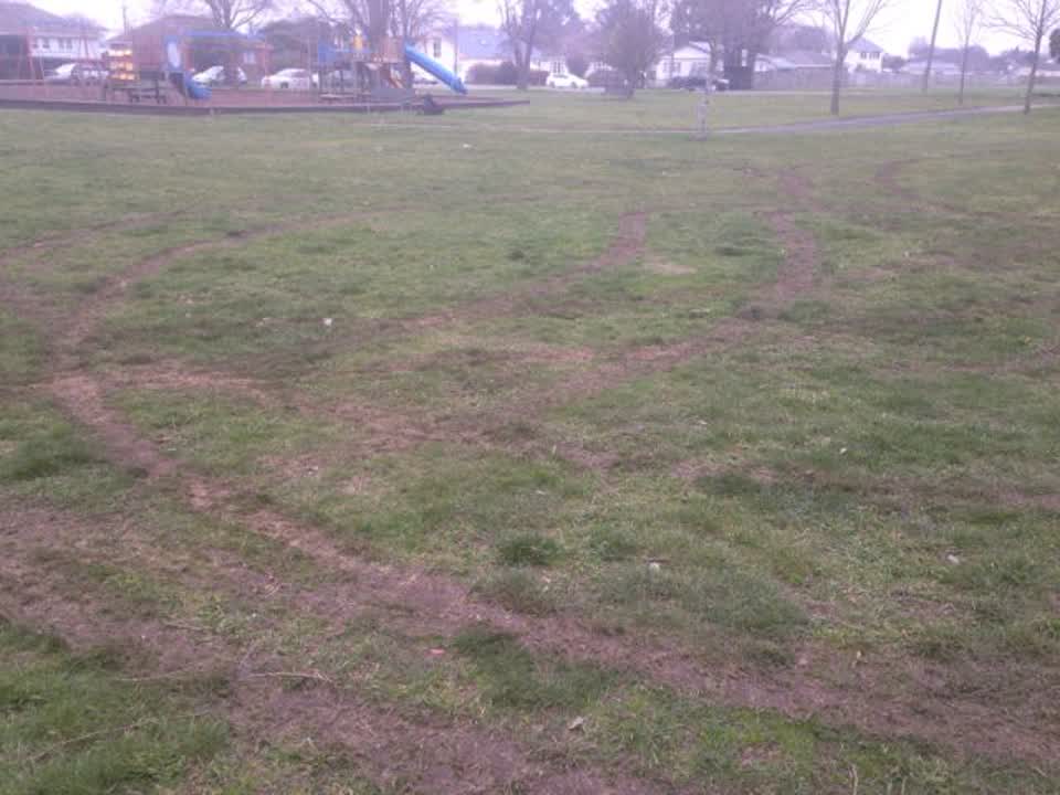 The photograph attached to this parks report