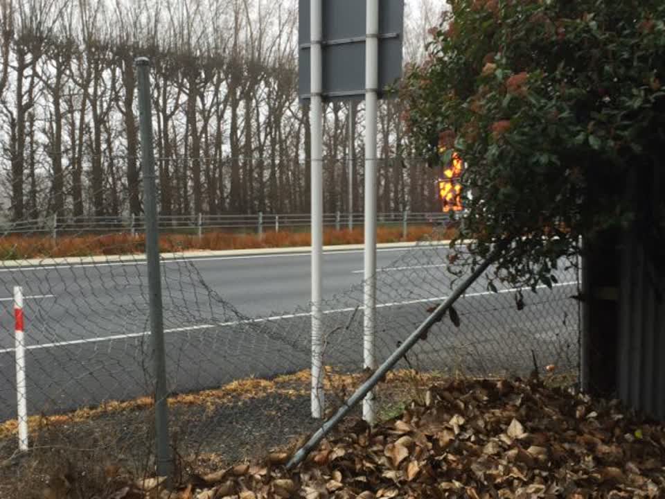 The photograph attached to this parks report