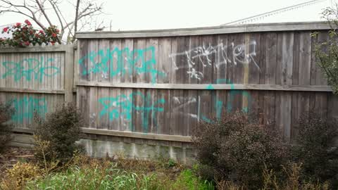 Graffiti, a report photo