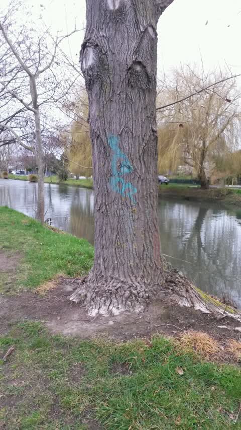 Graffiti, a report photo