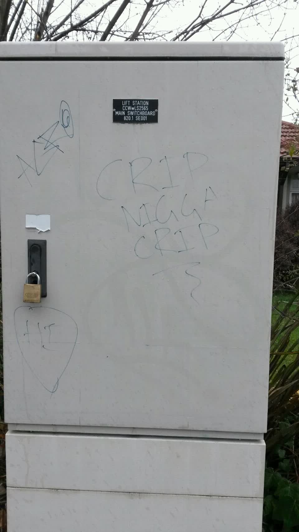 The photograph attached to this graffiti report