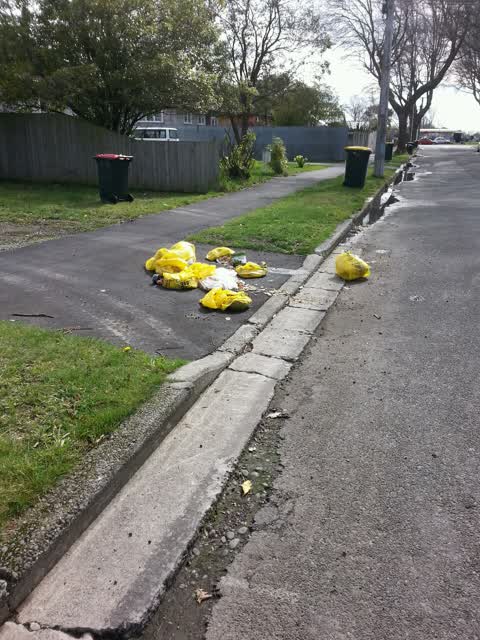 Rubbish/Recycling, a report photo