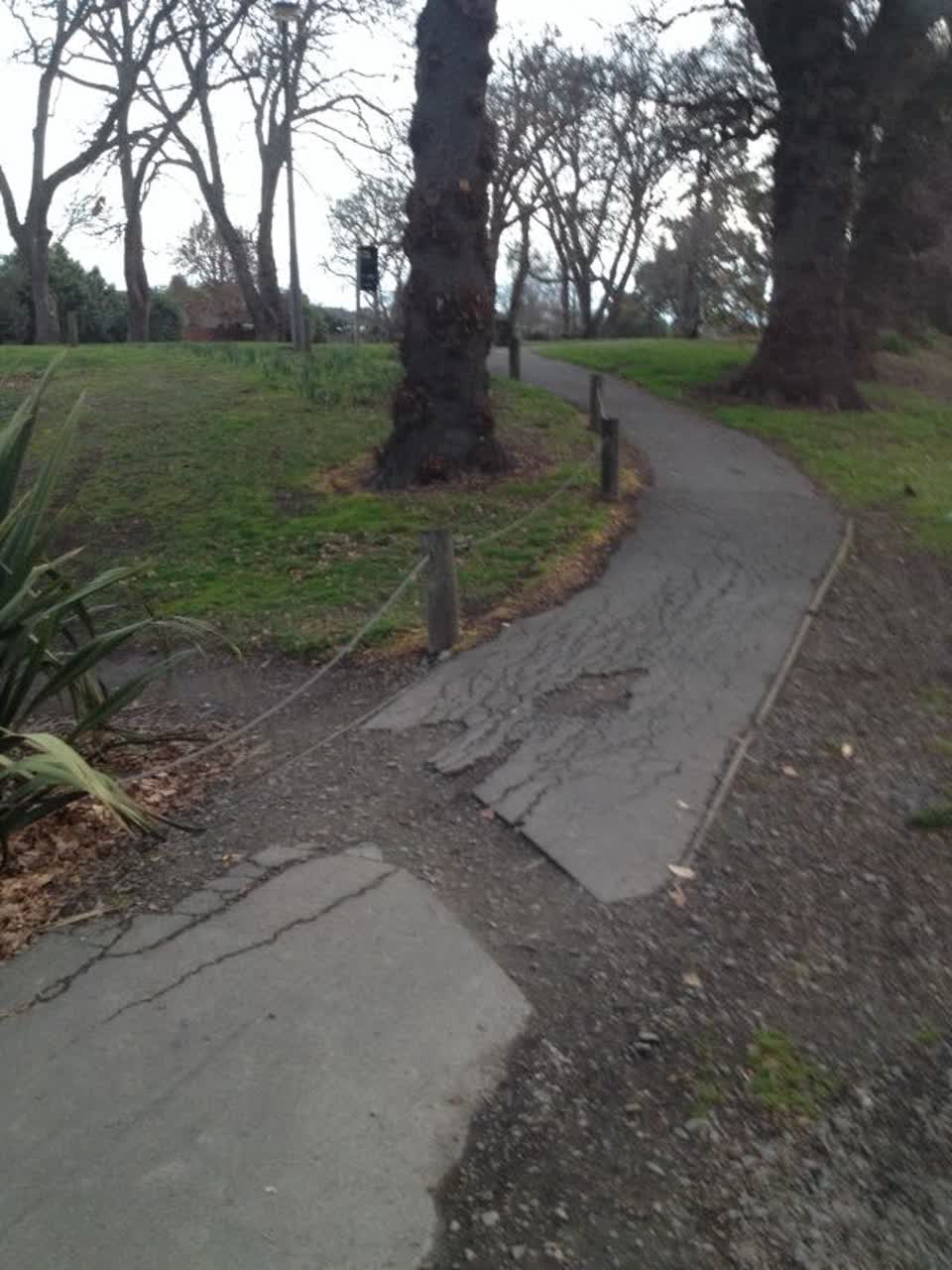 The photograph attached to this roading/streets report