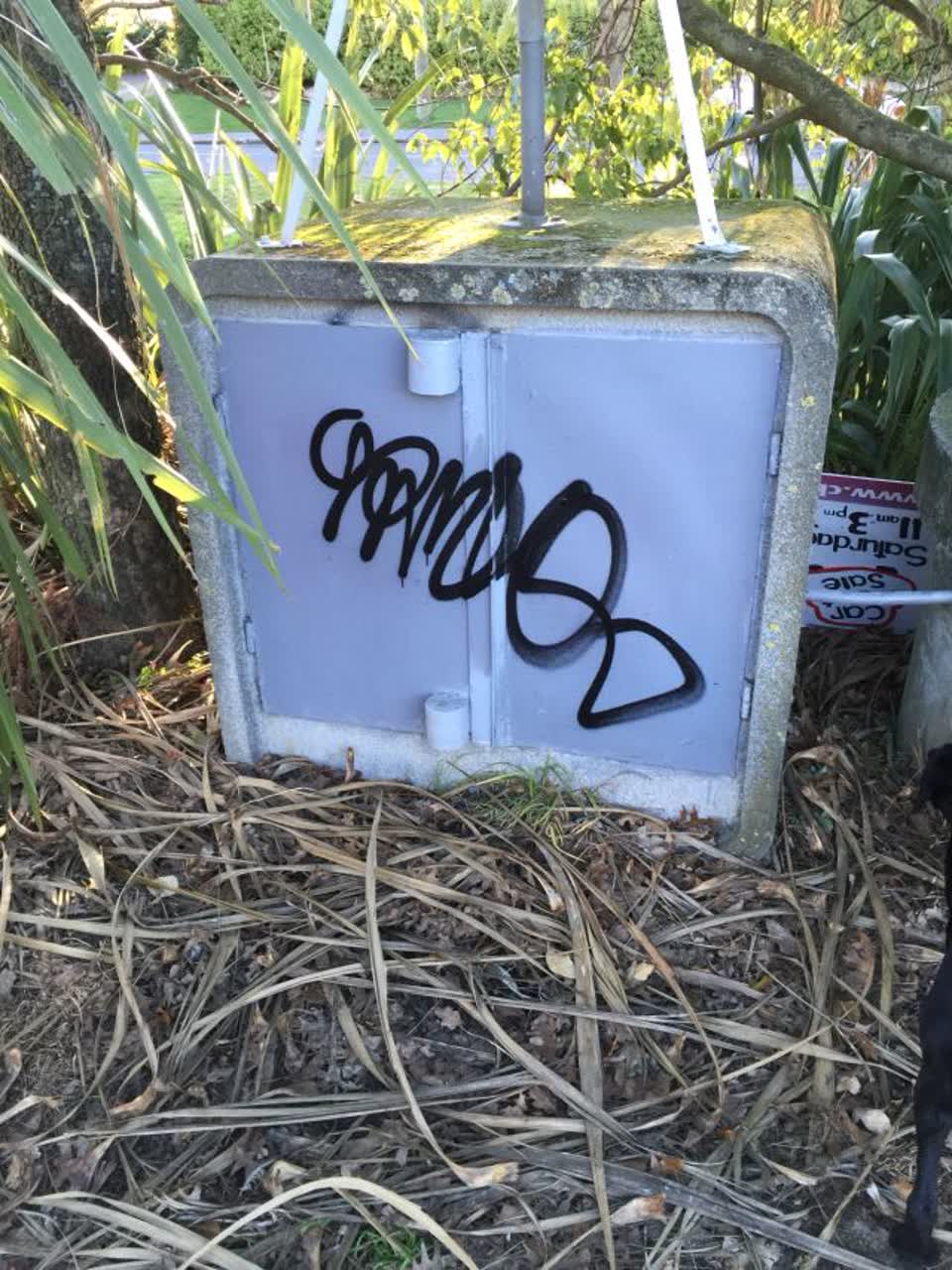 The photograph attached to this graffiti report