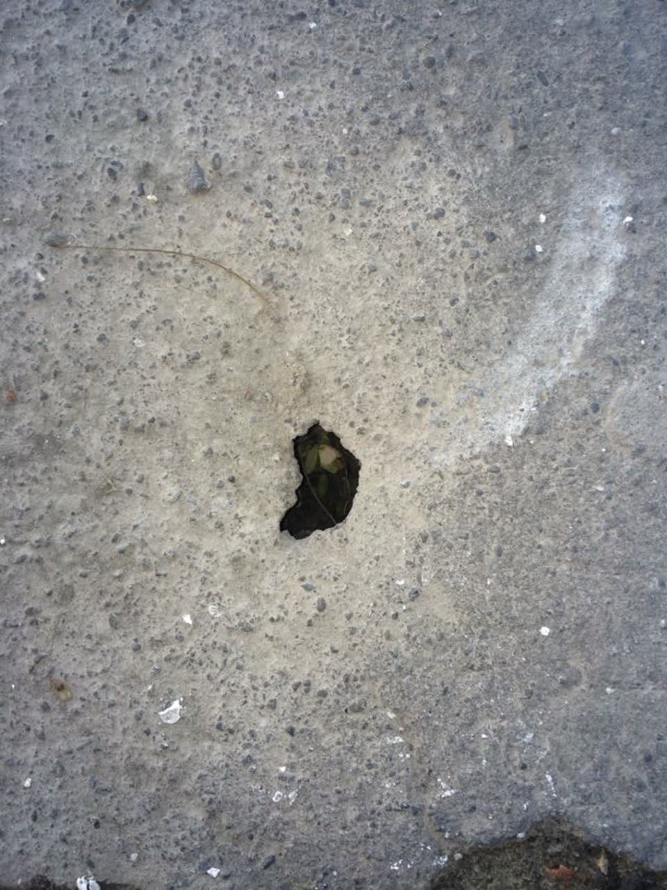 The photograph attached to this wastewater/stormwater report