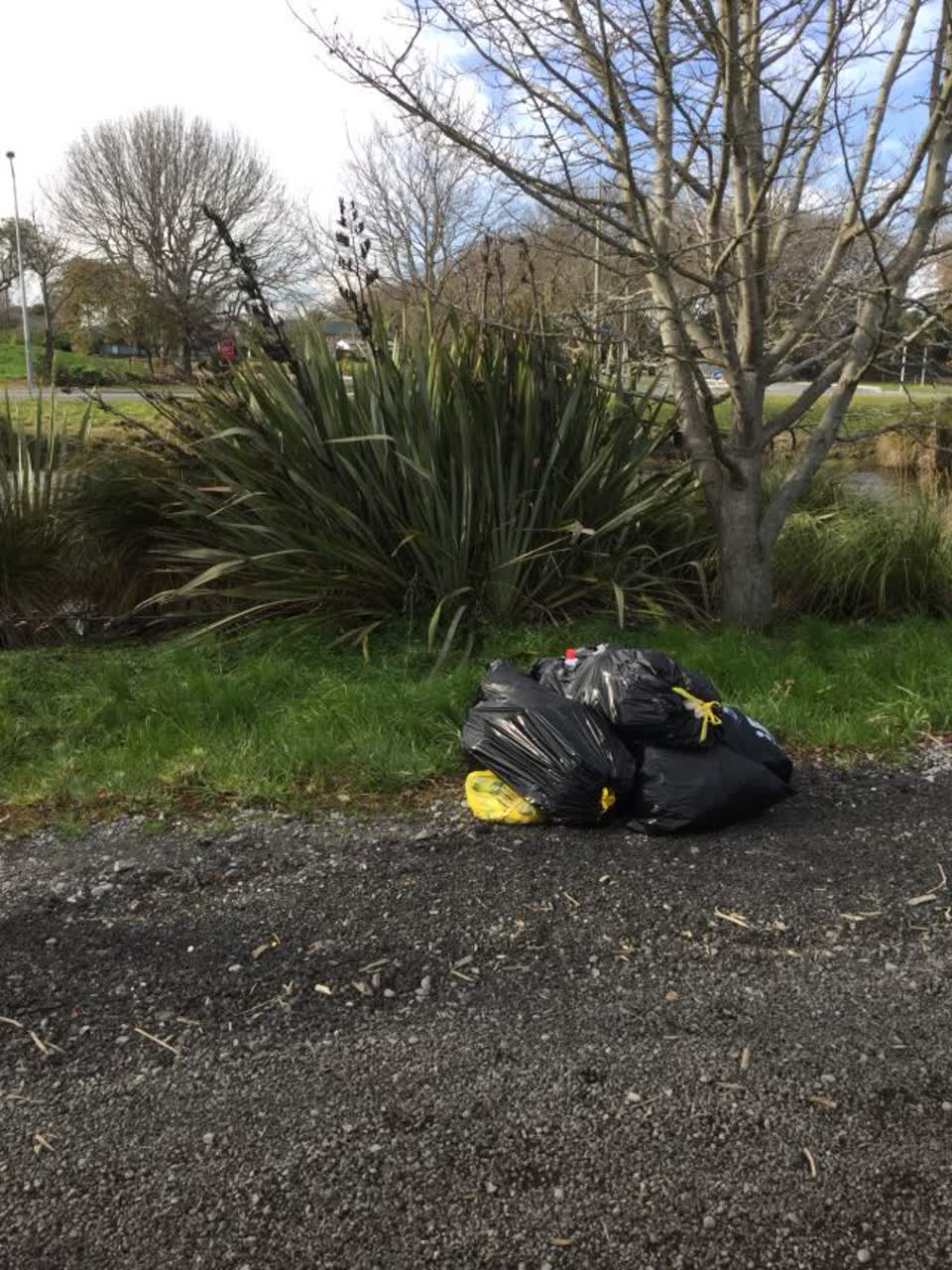 The photograph attached to this rubbish/recycling report