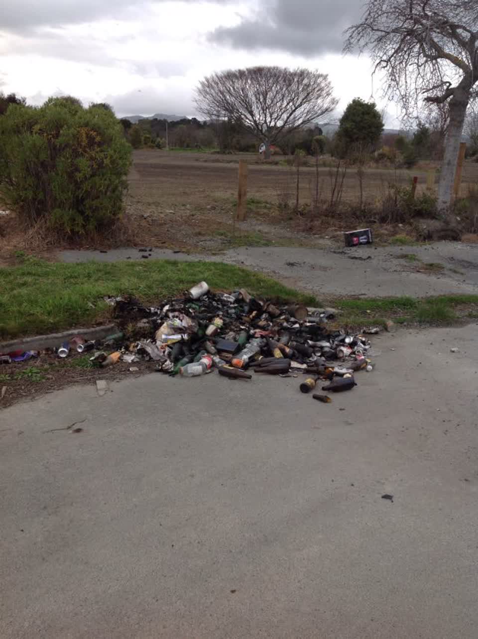 The photograph attached to this rubbish/recycling report