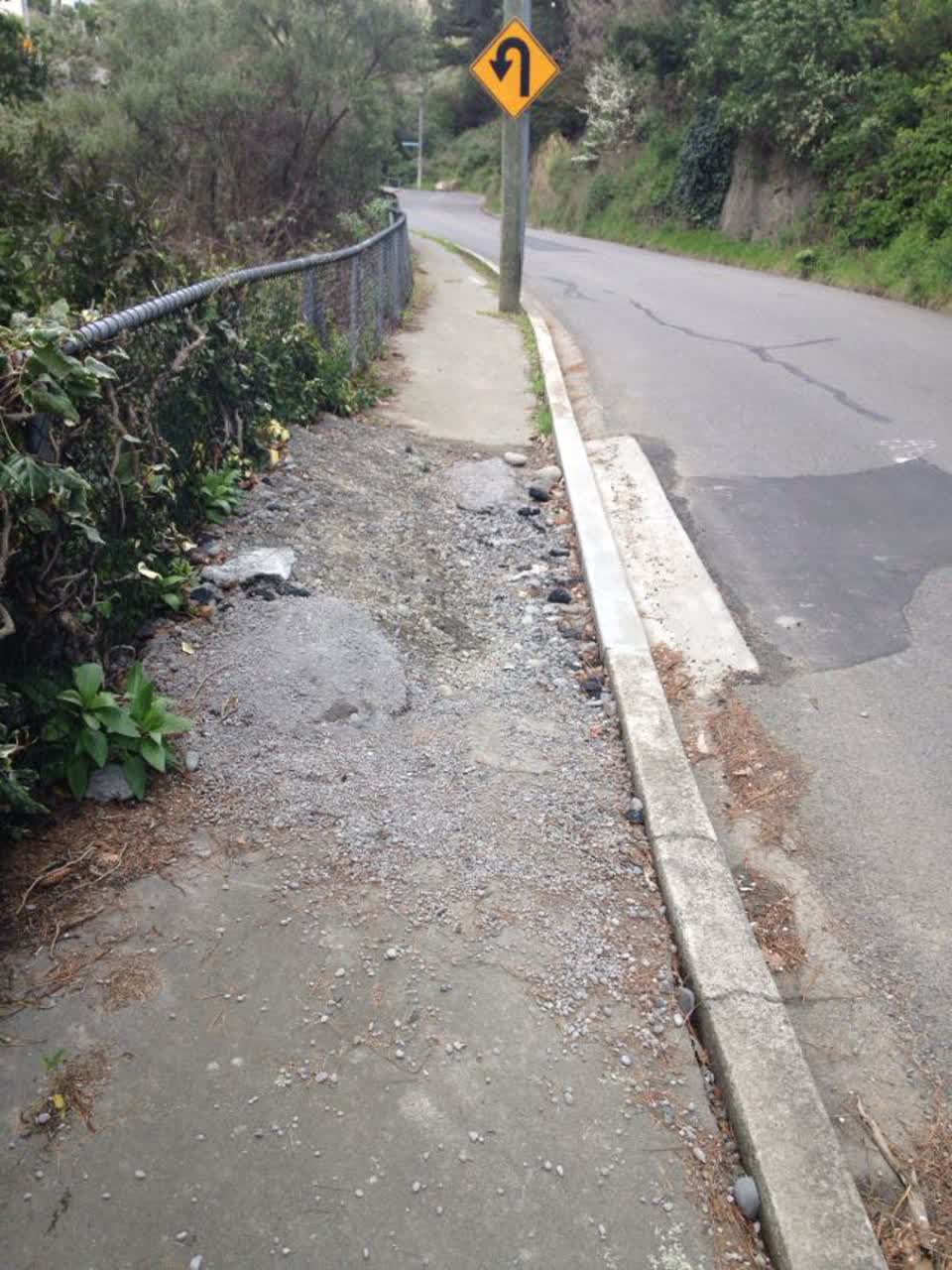 The photograph attached to this roading/streets report