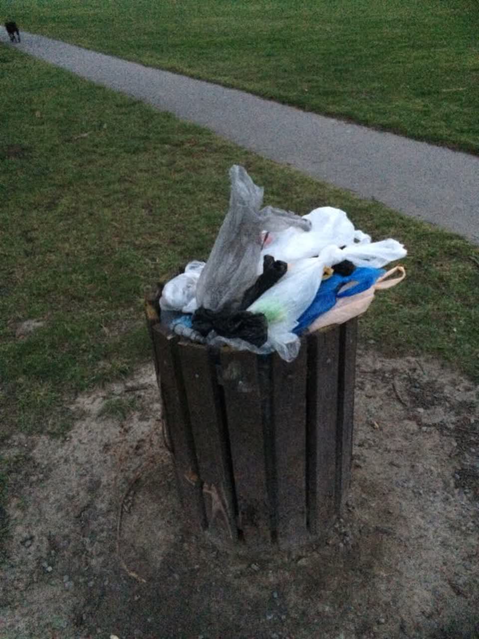 The photograph attached to this rubbish/recycling report