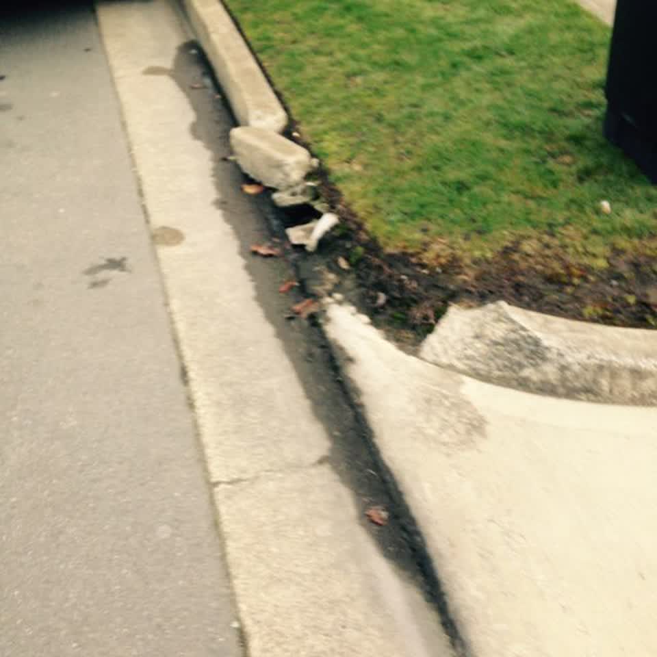 The photograph attached to this roading/streets report