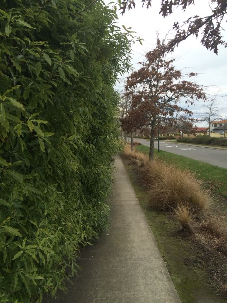 The photograph attached to this parks report