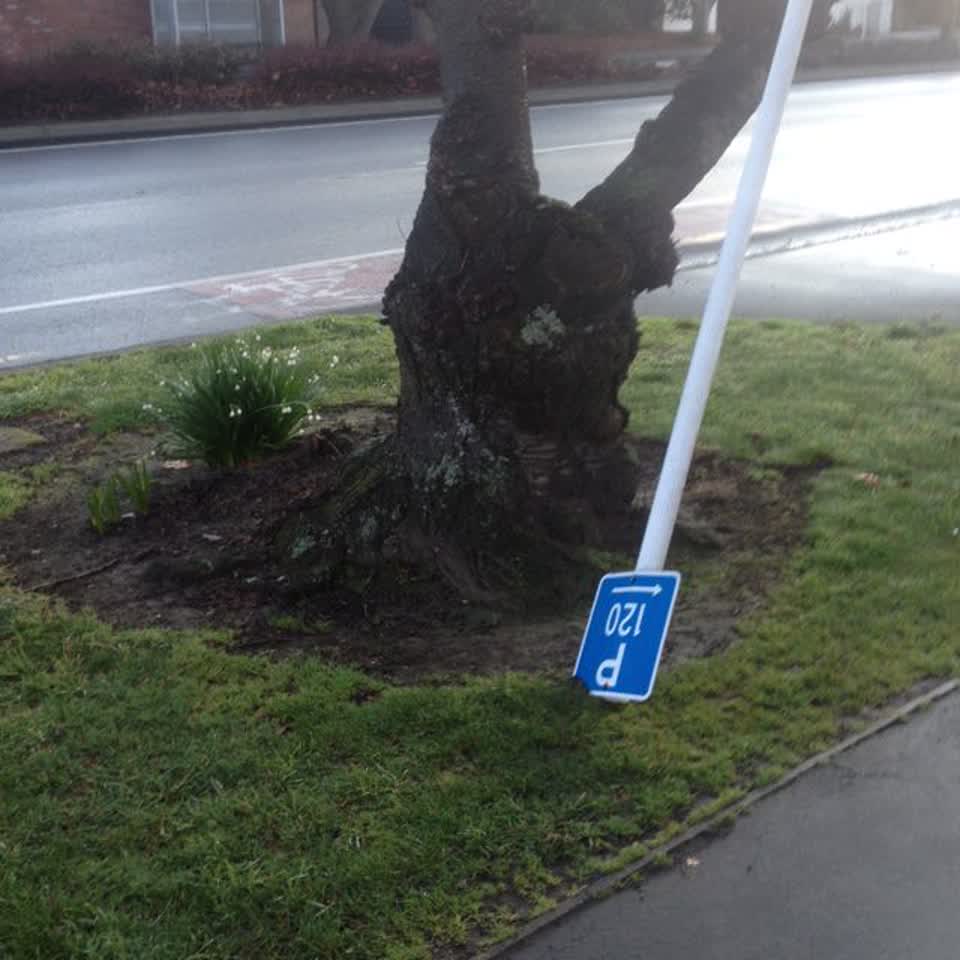 The photograph attached to this roading/streets report