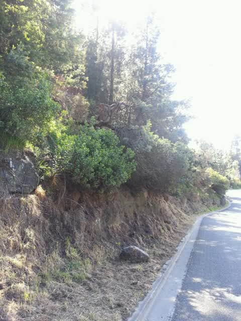 Roading/Streets, a report photo