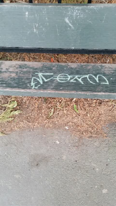 Graffiti, a report photo