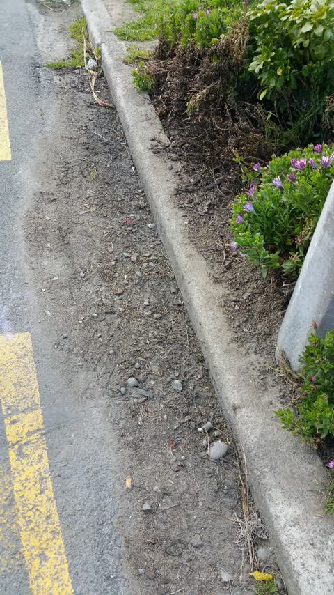 Roading/Streets, a report photo