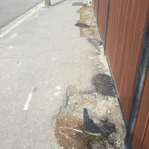 Roading/Streets, a report photo