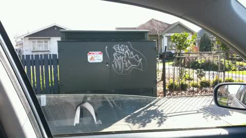 Graffiti, a report photo