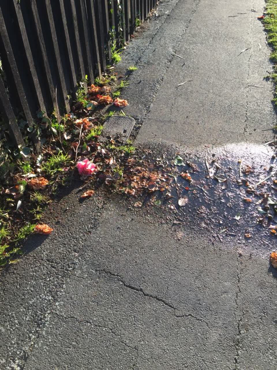 The photograph attached to this water supply report