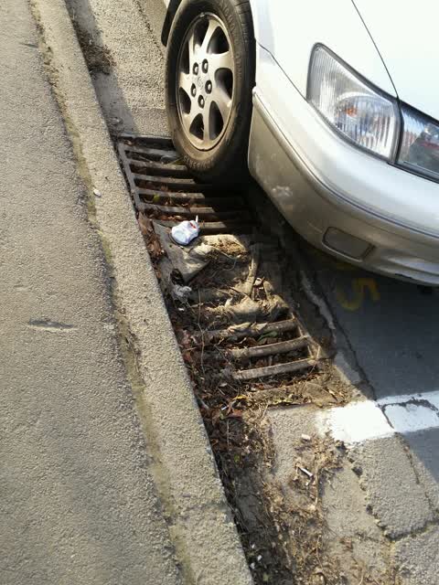 Wastewater/Stormwater, a report photo