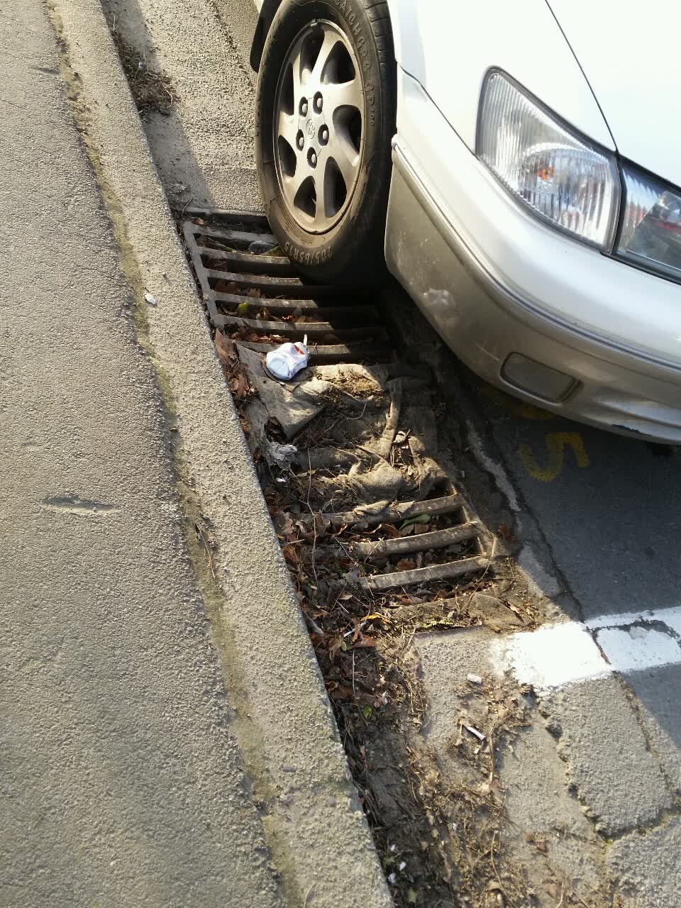 The photograph attached to this wastewater/stormwater report