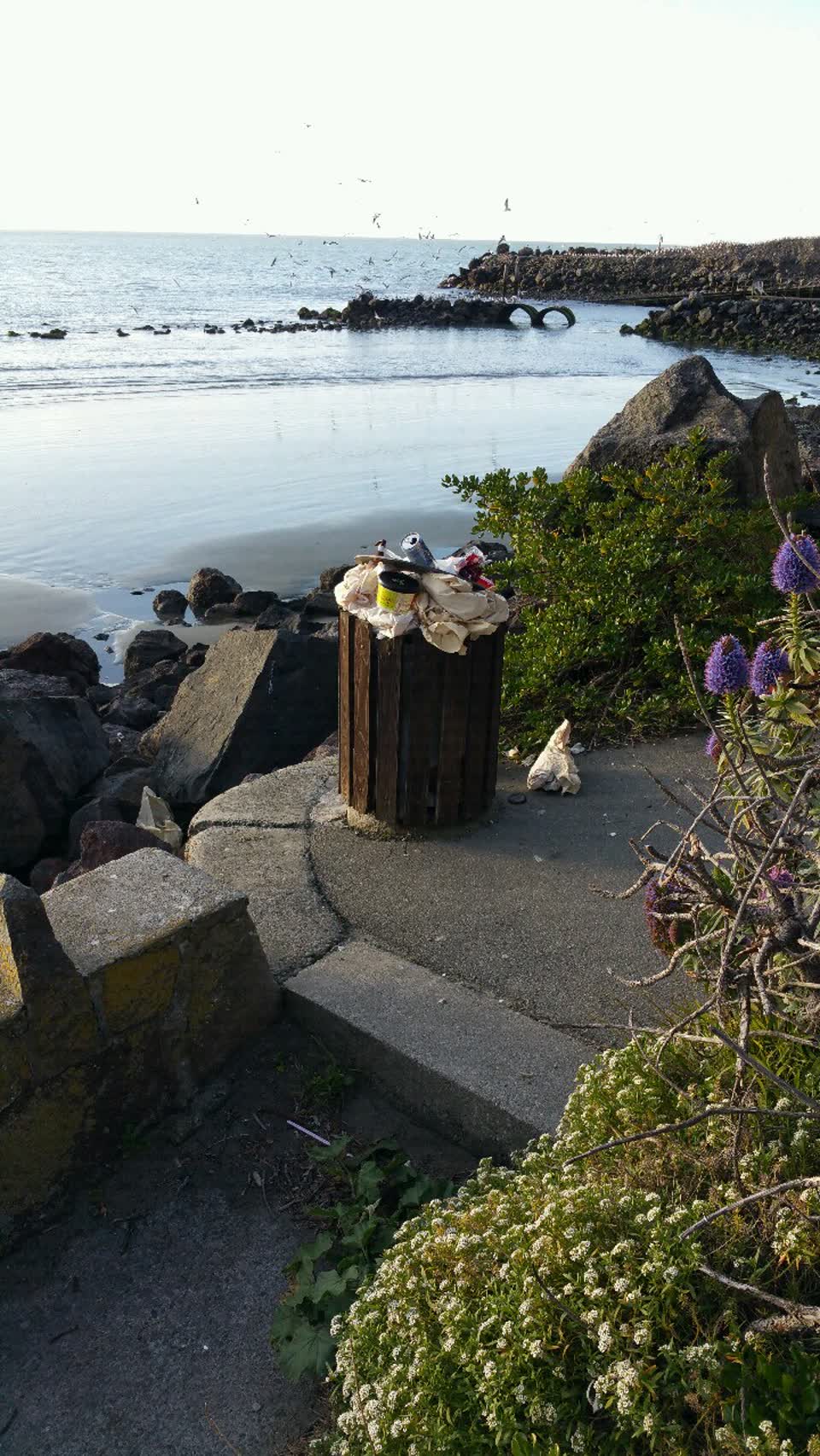 The photograph attached to this rubbish/recycling report