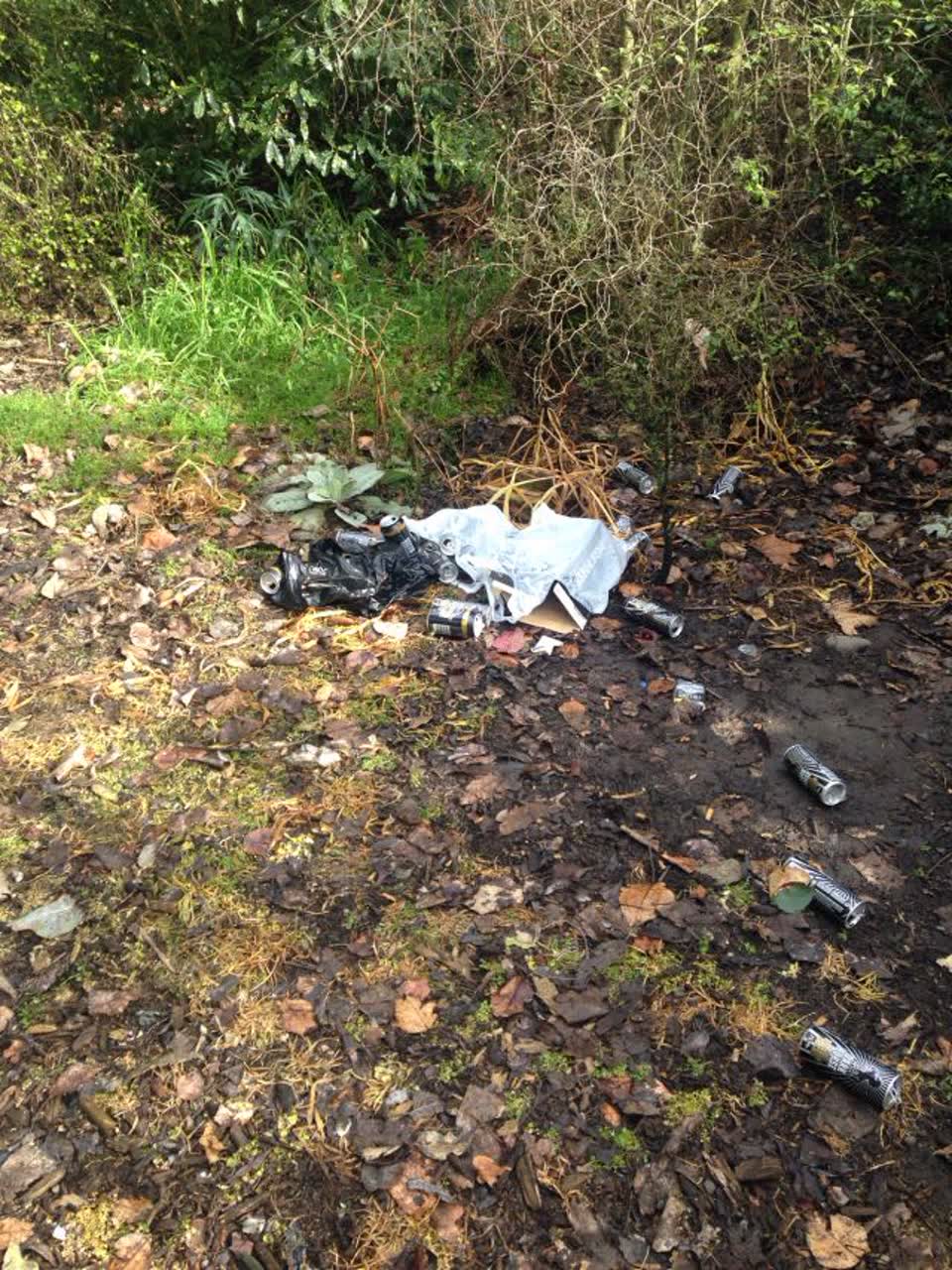 The photograph attached to this rubbish/recycling report