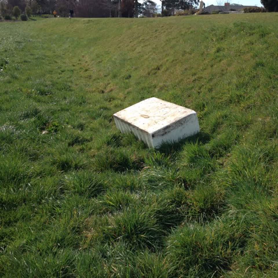 The photograph attached to this parks report