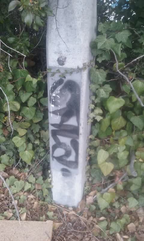 Graffiti, a report photo