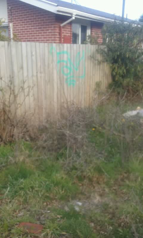 Graffiti, a report photo