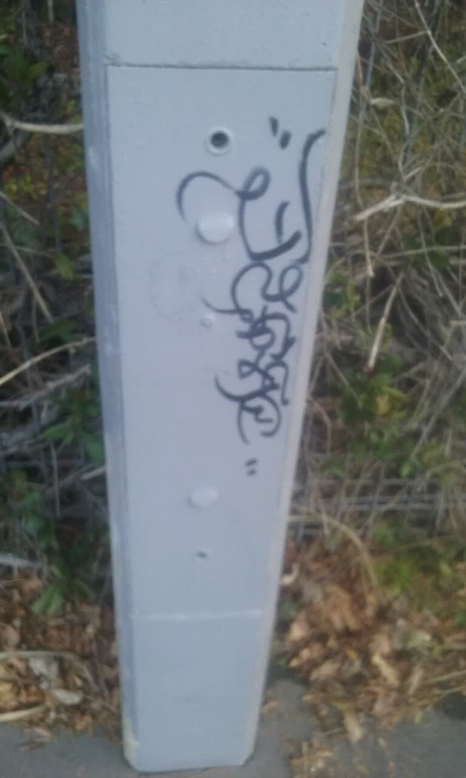 The photograph attached to this graffiti report