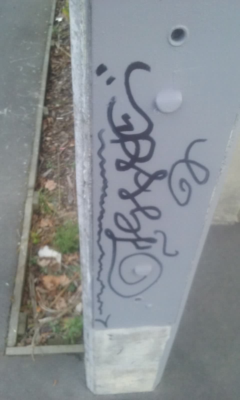 The photograph attached to this graffiti report