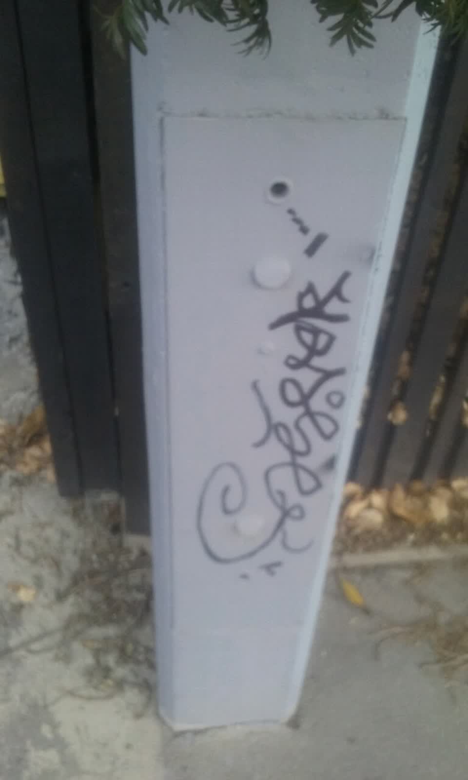 The photograph attached to this graffiti report