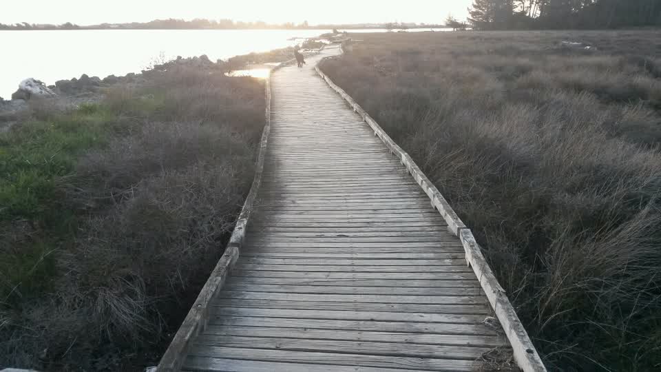 The photograph attached to this parks report