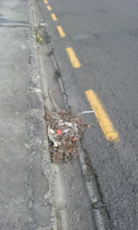 Roading/Streets, a report photo