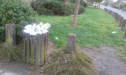 Rubbish/Recycling, a report photo