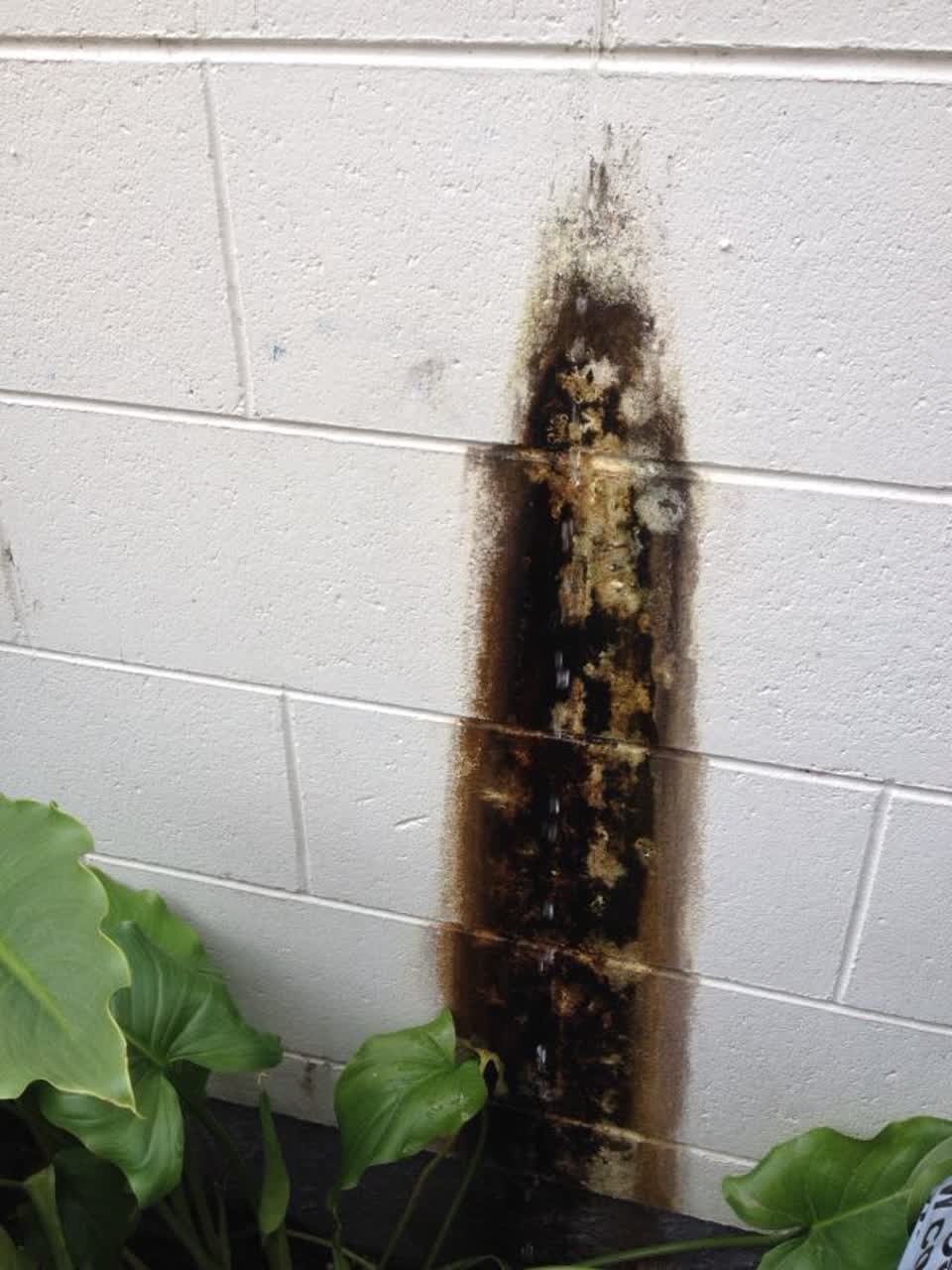 The photograph attached to this water supply report