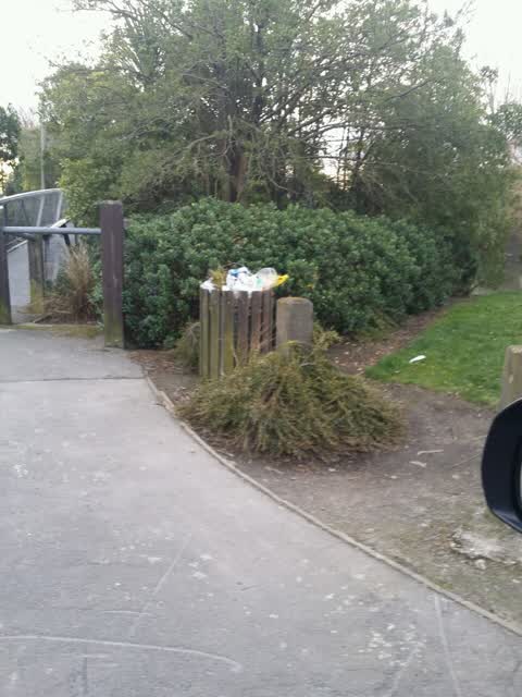 Rubbish/Recycling, a report photo