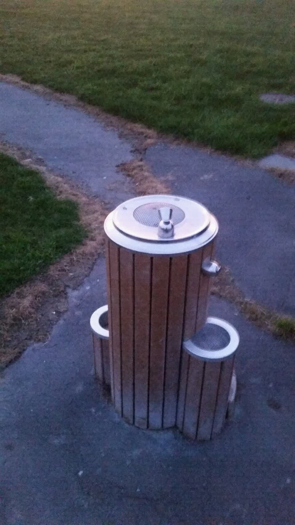 The photograph attached to this water supply report