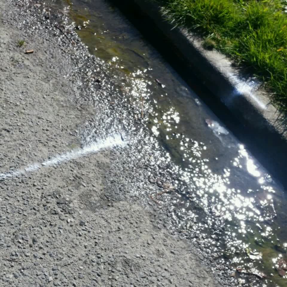 The photograph attached to this water supply report