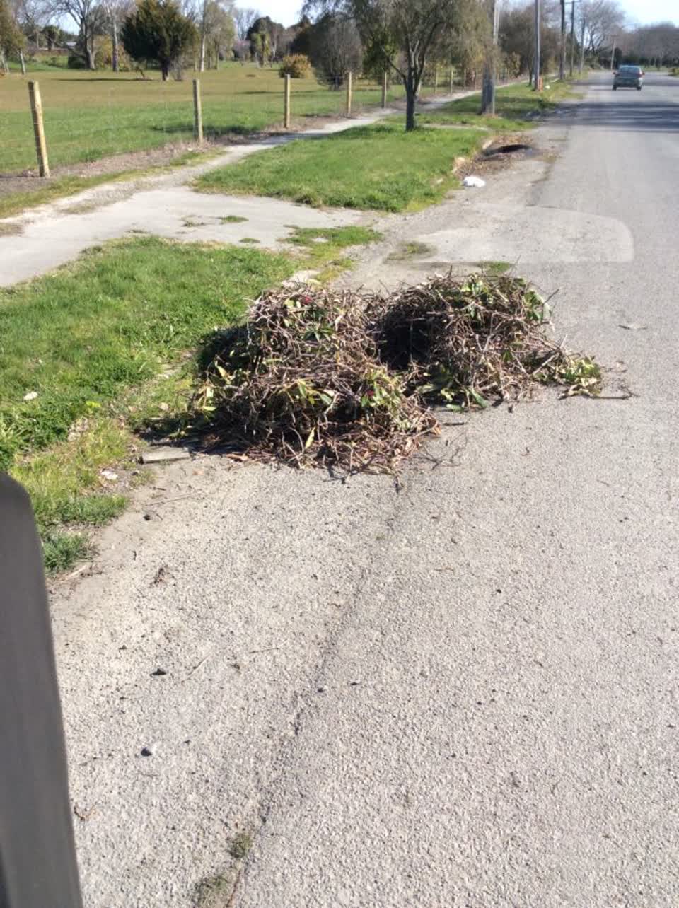 The photograph attached to this rubbish/recycling report