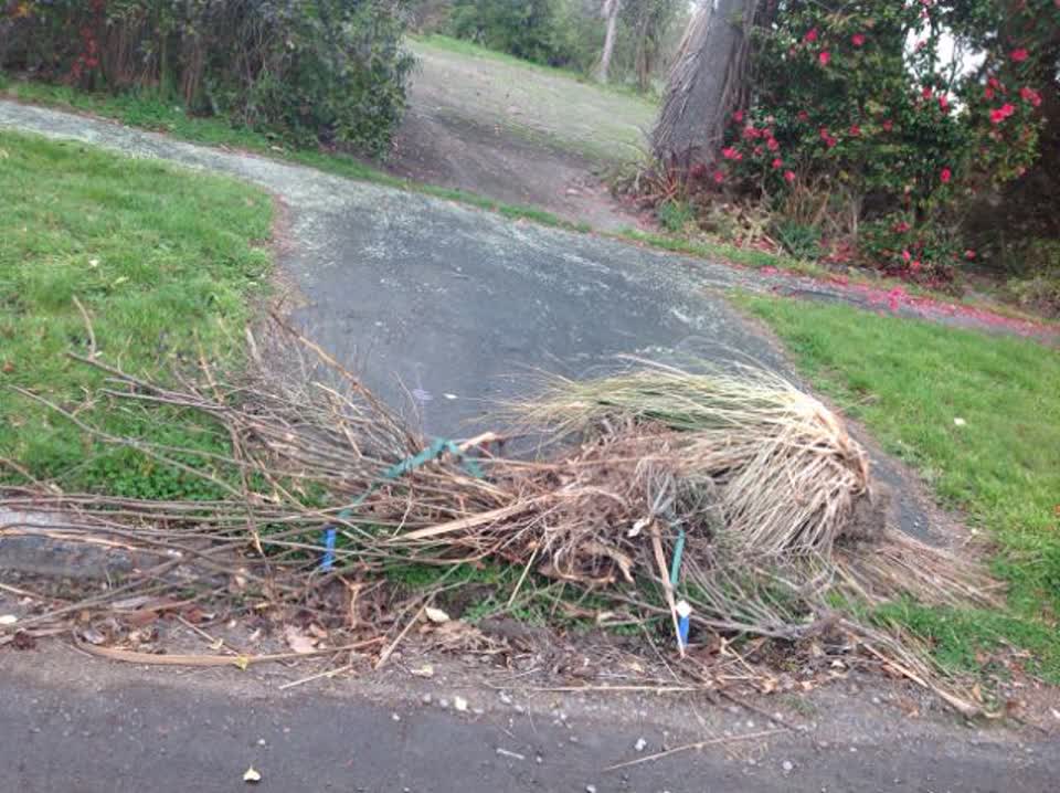 The photograph attached to this rubbish/recycling report