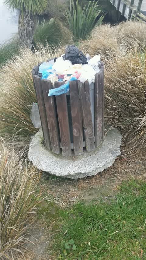 Rubbish/Recycling, a report photo