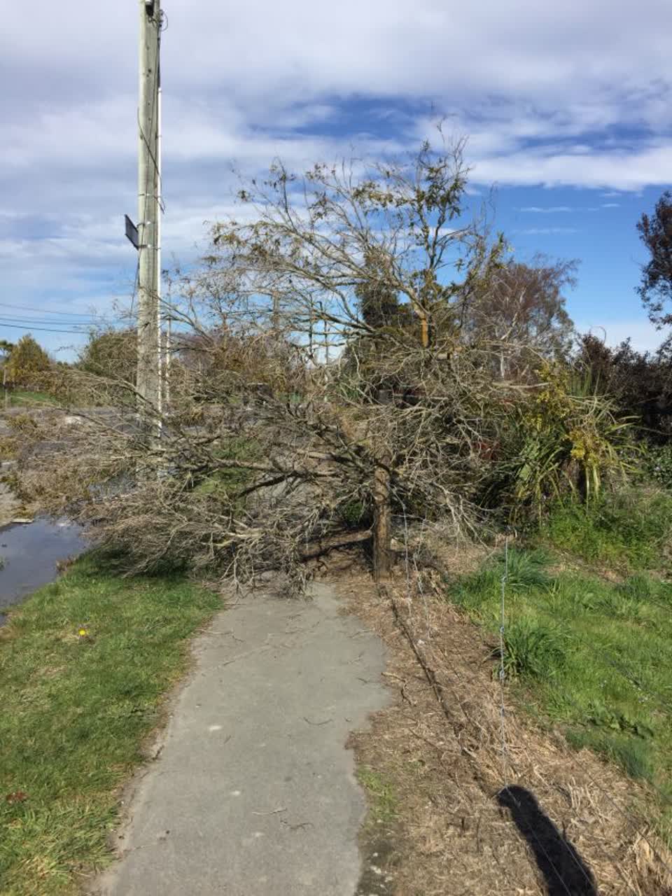 The photograph attached to this roading/streets report